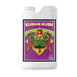 Kushie Kush