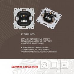 ТВ-розетка без рамки Arte Milano am-206 206.43-1.shampan