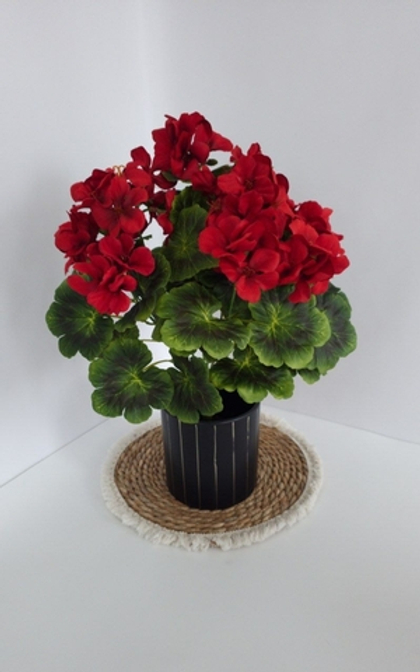 Герань / Арт 2310