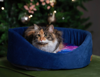Коллекция "Космос"