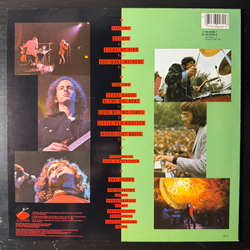 Виниловая пластинка Doors ‎– Alive, She Cried LP