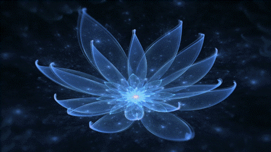 Sensene и Top Clean, опыт Сети химчисток  «ЛОТОС» г. Санкт-Петербург