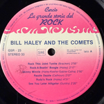 Bill Haley And The Comets / Little Richard ‎– The Best Of Rock 'N Roll 2LP (Голландия)
