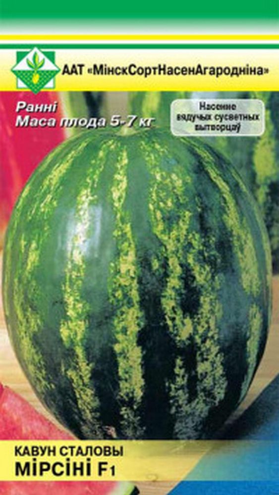 Арбуз &quot;Мирсини F1&quot; 5шт, Беларусь.