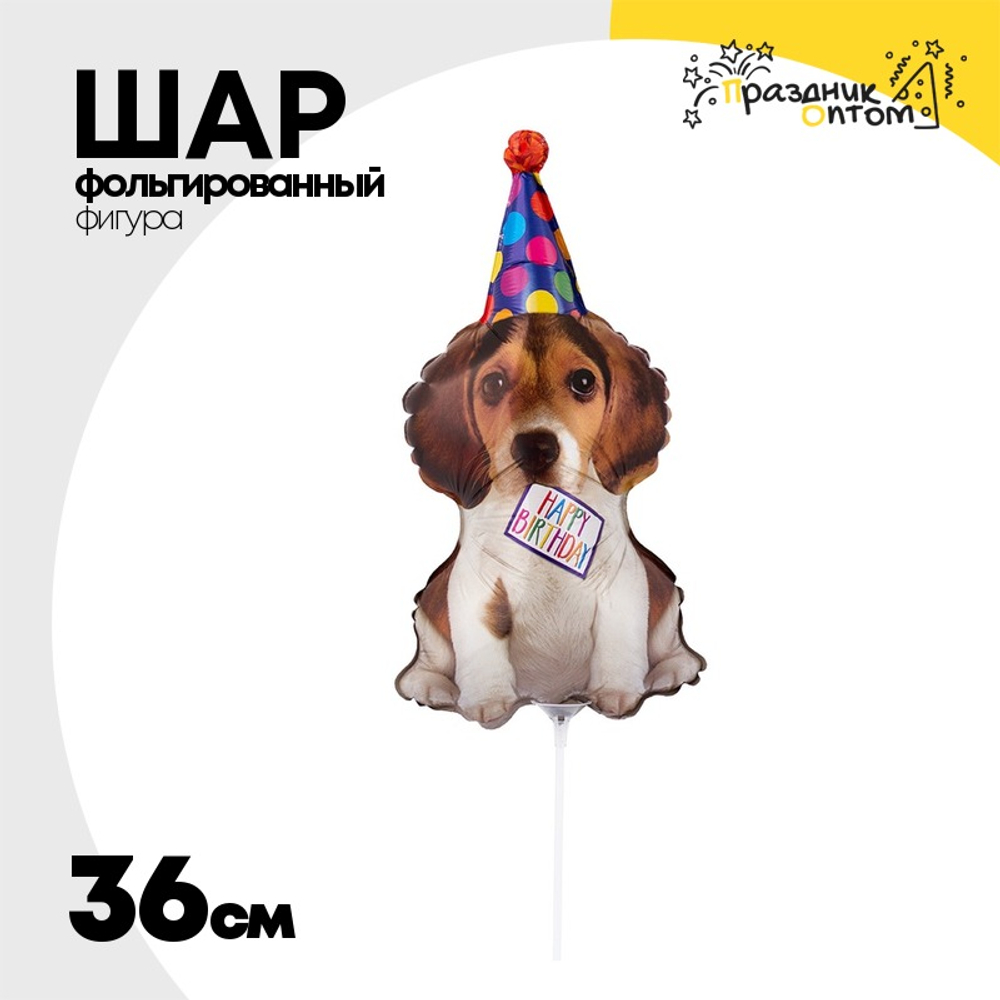 Шар Фольгированный Щенок в колпаке (Ассорти)