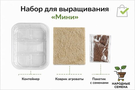 Набор для выращивания микрозелени Mini