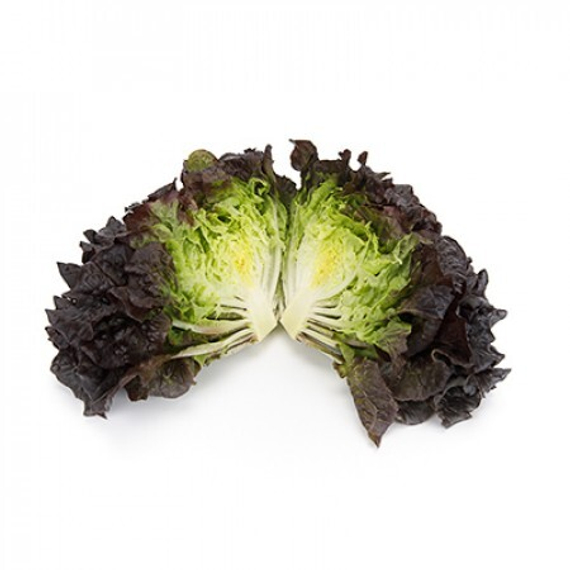 Бонарда семена салата саланова многолистный – фото 2