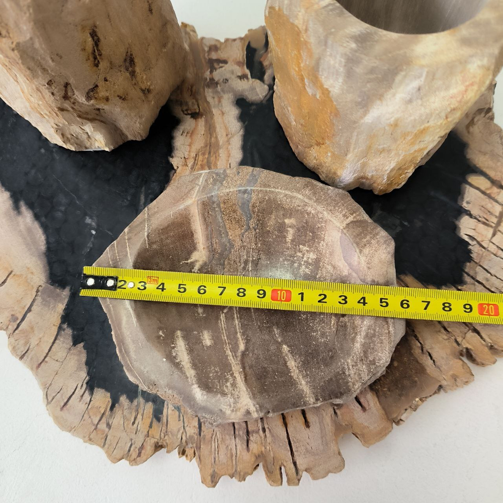 Набор из окаменелого дерева 4 предм Fossil Set NF-63281 поднос 149
