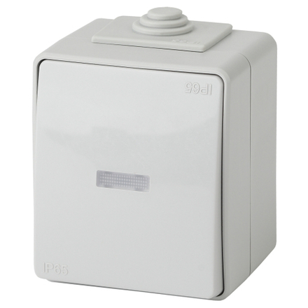 Выключатель ЭРА Эксперт 11-1602-03 с подсветкой IP65 10АХ-250В ОУ серый