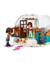Конструктор Friends 41760 Праздничное приключение в иглу