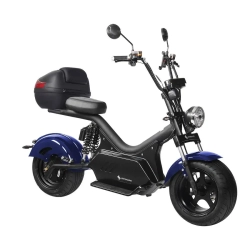Электроскутер SKYBOARD CITYCOCO BR50-3000 PRO