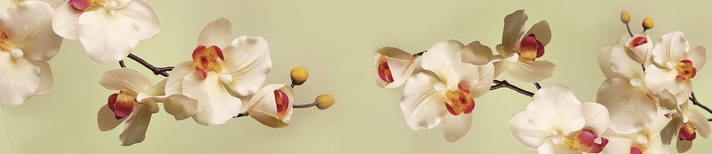 Стеновая панель 2800*610*6 (SP-102 глянец)