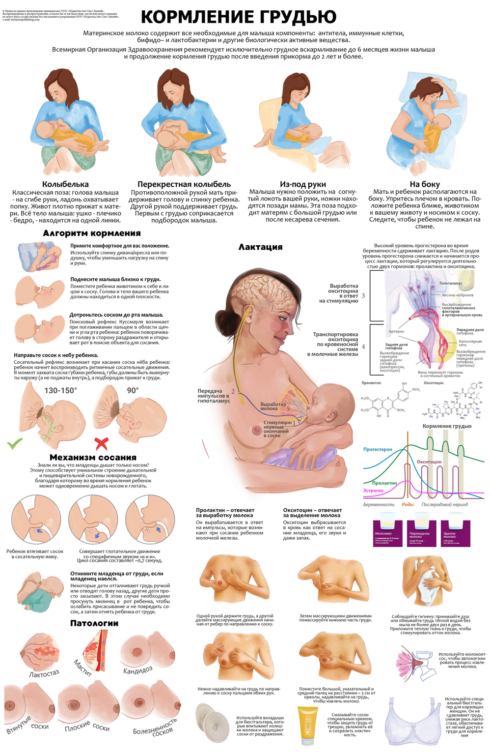 Комплект плакатов для кабинета акушера-гинеколога