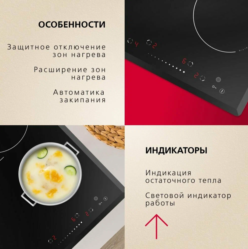 Электрическая панель Hansa BHC66906