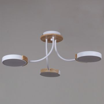 13202-0.3-03 светильник потолочный