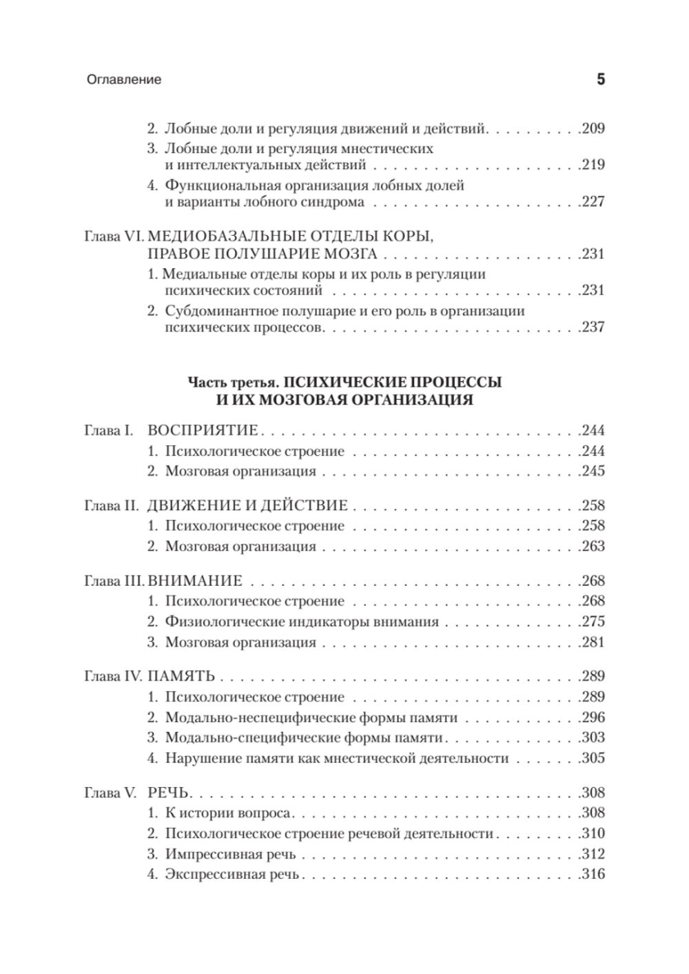 Основы нейропсихологии