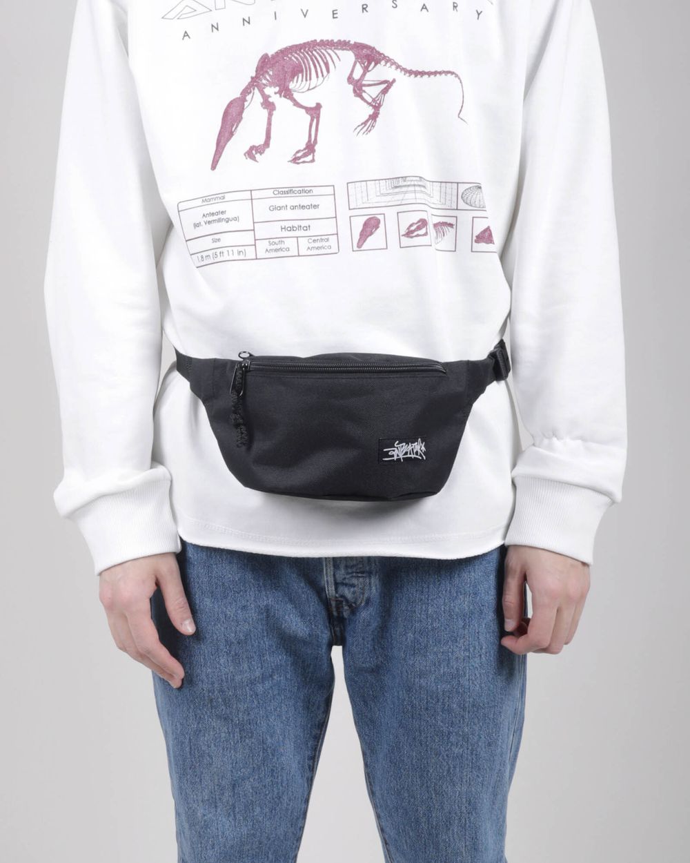 Сумка поясная Anteater Waistbag Light Black