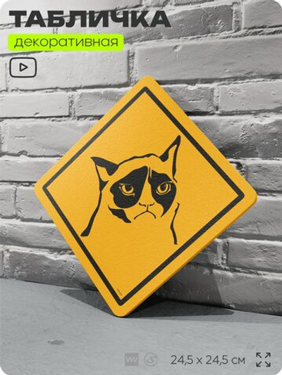 Табличка с мемом "кошка" шуточная на дверь, для офиса и дома, декоративный знак, 24,5х24,5 см, пластиковая, Айдентика Технолоджи