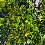 Панель из зелени на сетке GR-01, размер 100х100 см.