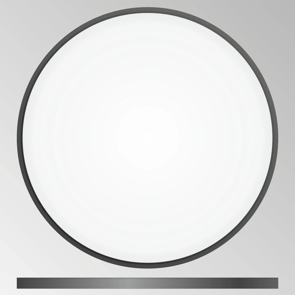 Citilux Бейсик CL738501V Светильник накладной Чёрный