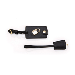 Сумка Regimental Shit