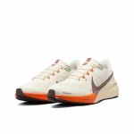 Мужские кроссовки Nike Air Zoom Pegasus 41 'Year of the Snake' HV5975-102