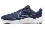 Кроссовки Nike Downshifter 12