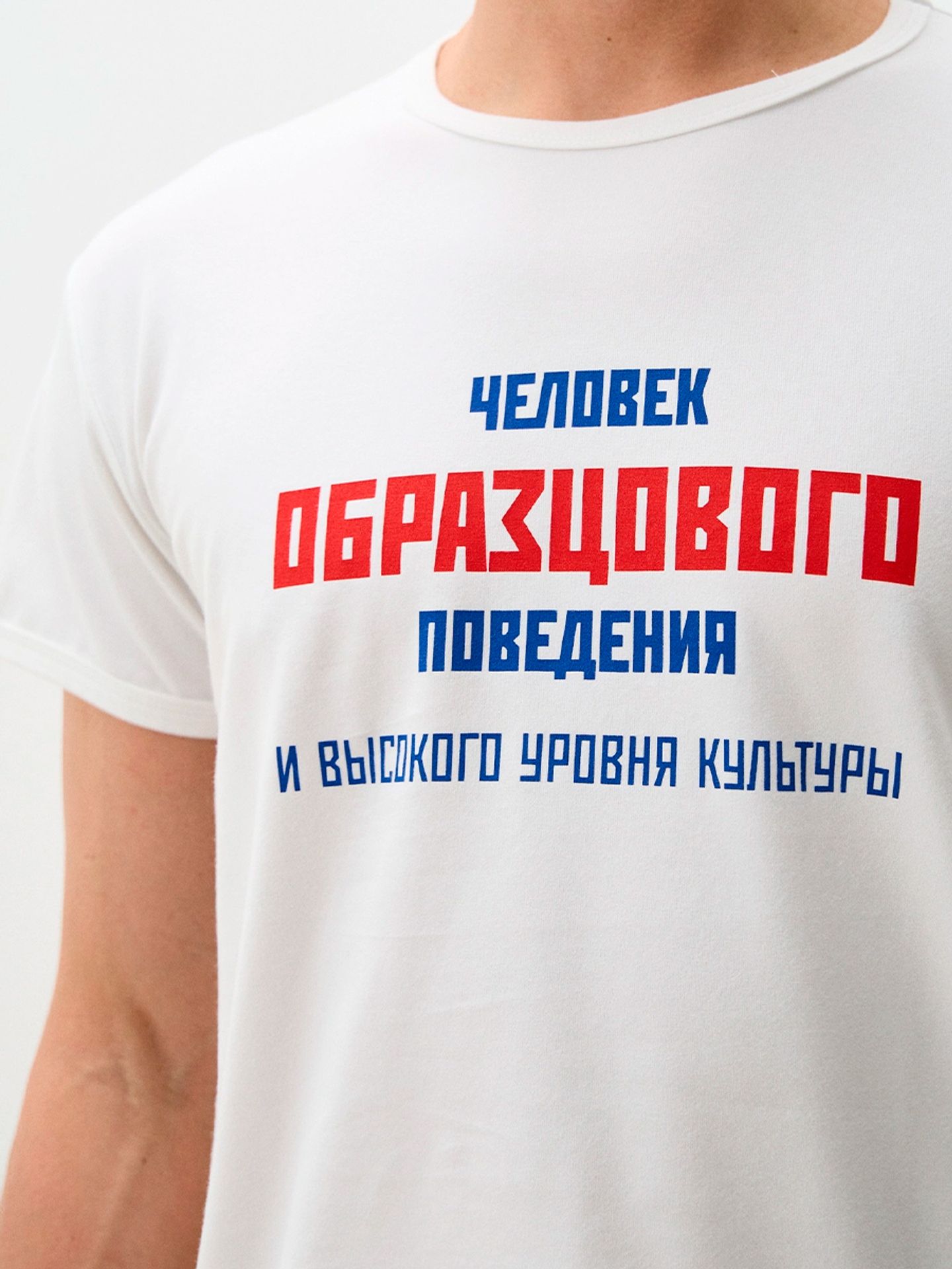 Футболка мужская "Образцовый"