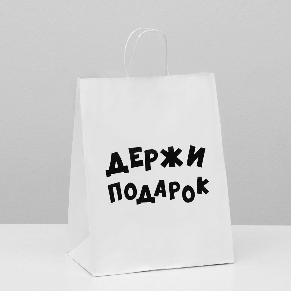 Пакет подарочный Держи подарок 24х10х30 см