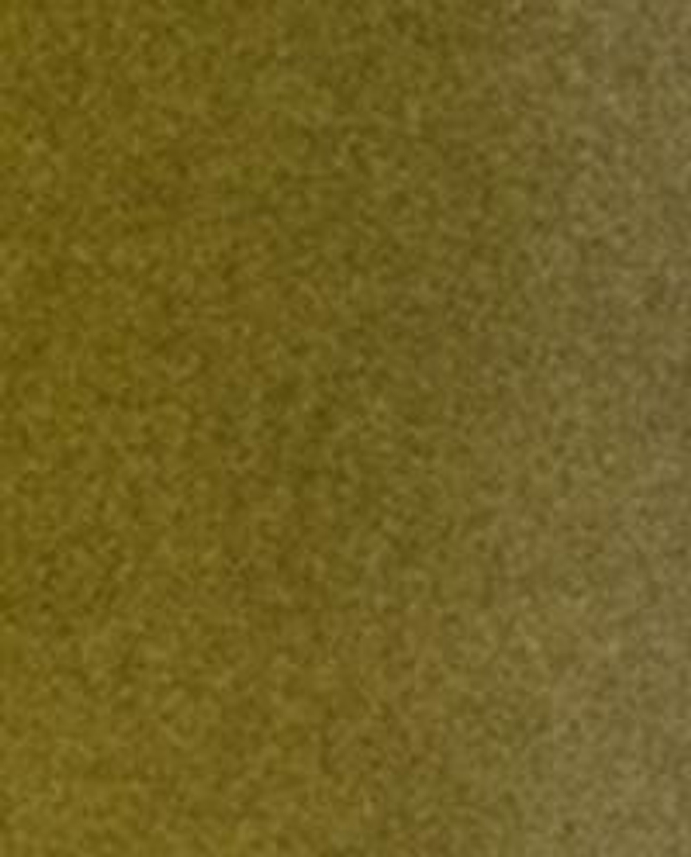 Zara Home Гель для душа Basilicum 1000 мл парфюмированный, для тела, аромат свежий цитрусовый