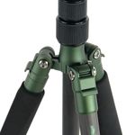 Falcon Eyes Green Line 1443C BHS-8