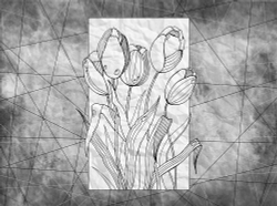 Коллекция FLOREALE