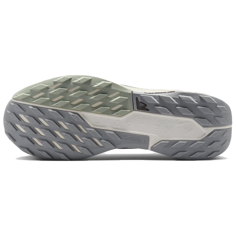 Кроссовки Nike Pegasus Trail 5 Gore-Tex