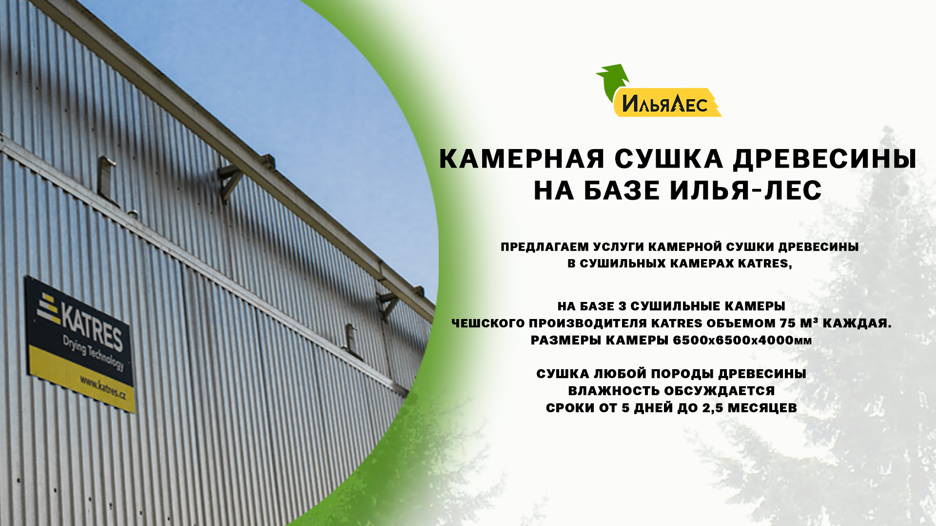 Камерная сушка древесины на базе Илья лес
