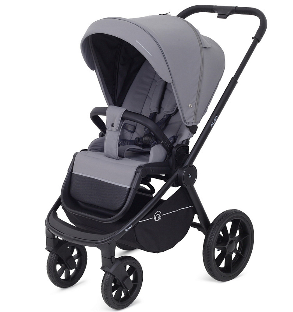 Детская коляска Rant Flex 2 в 1 RA076 Grey