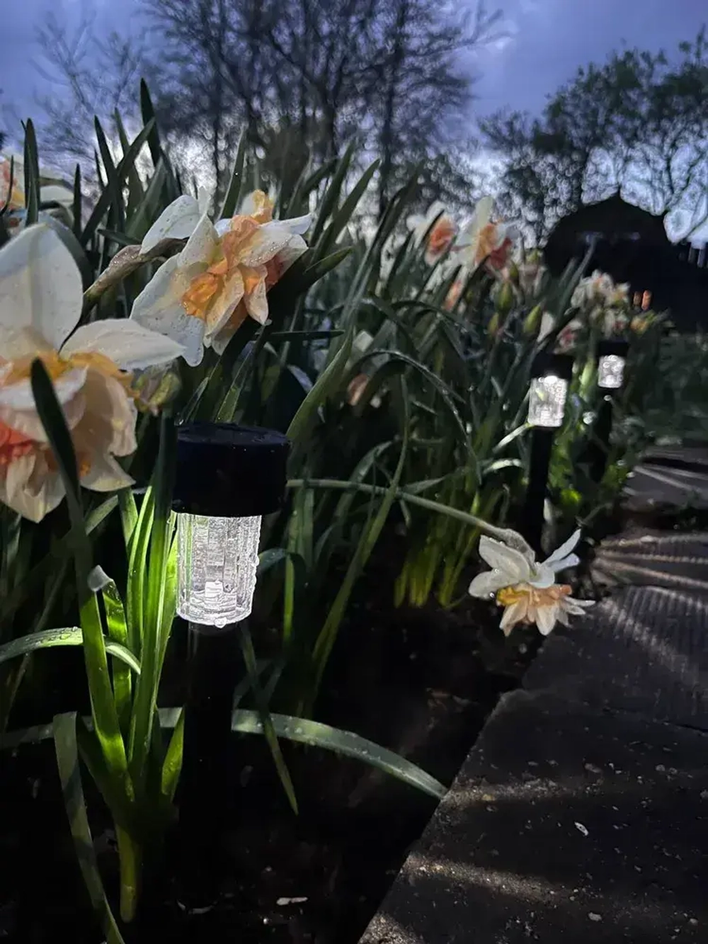 MegaSvet Уличный светильник