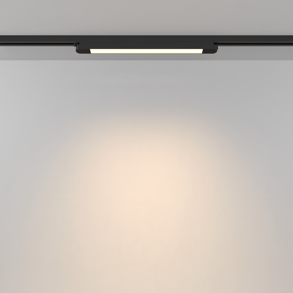 Трековый светильник Maytoni Unity Basis TR000-1-12W3K-B_1