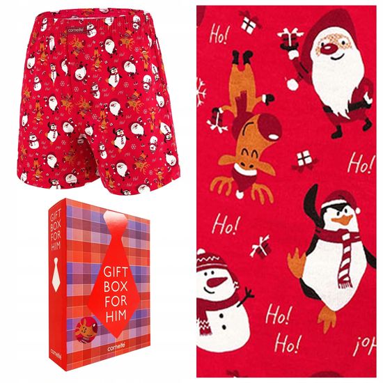 Трусы мужские семейные Cornette Swiateczne L 016/17