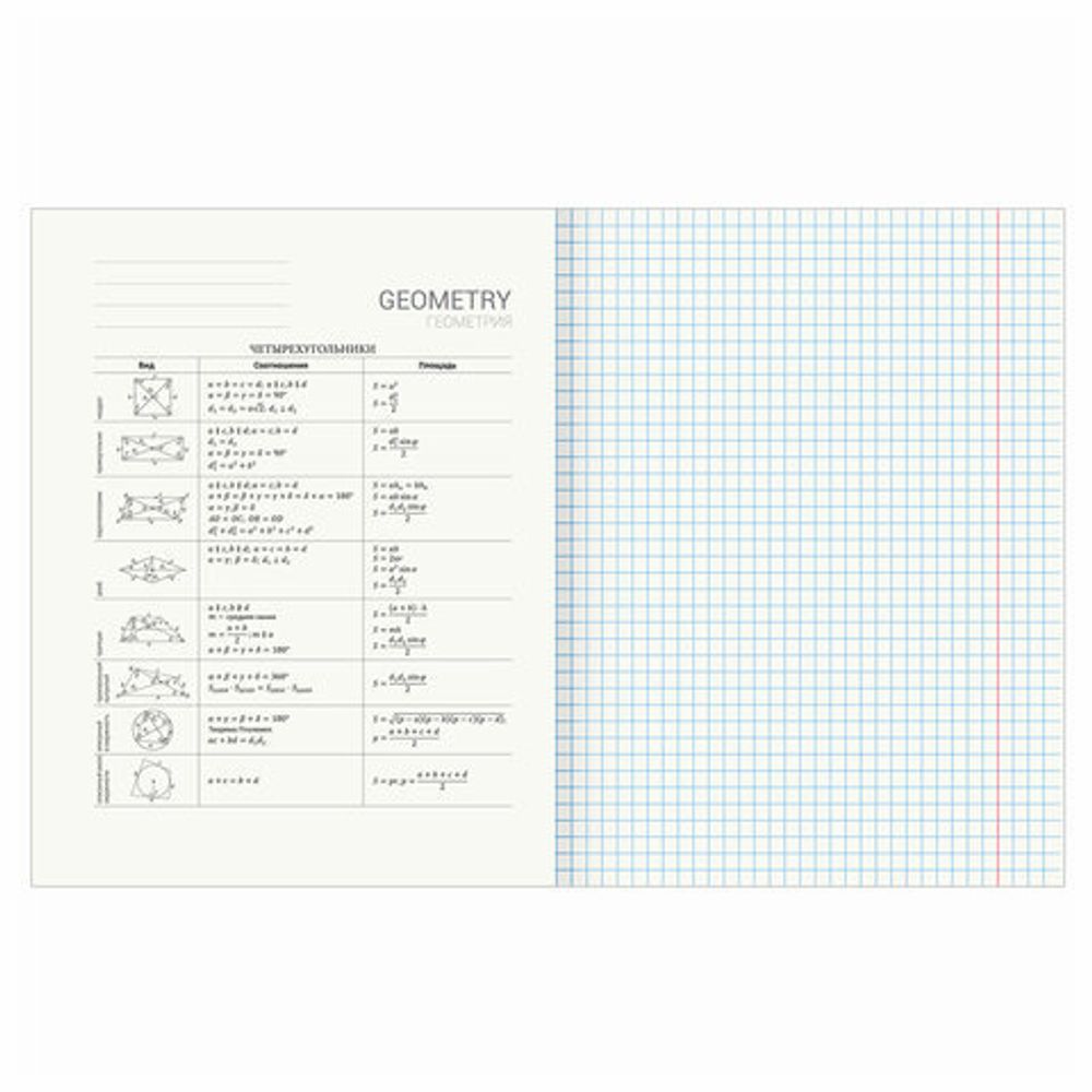 Тетрадь предметная "DELIGHT" 48 л., обложка картон, ГЕОМЕТРИЯ, клетка, BRAUBERG, 404573