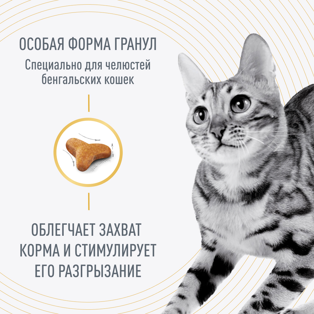 Royal Canin Bengal Adult Корм сухой сбалансированный для взрослых бенгальских кошек старше 12 месяцев 2 кг
