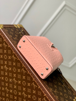 Louis Vuitton Capucines Mini