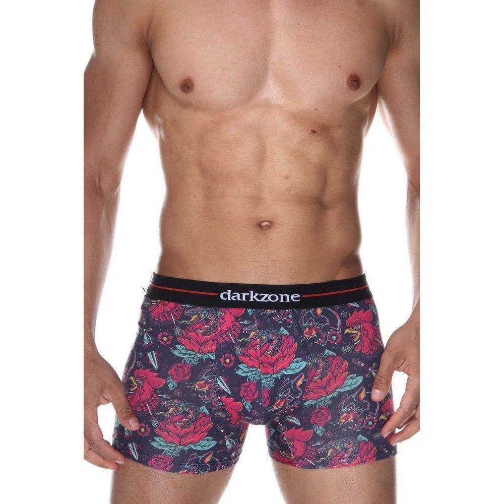 Трусы мужские боксеры разноцветные DARKZONE DZN2070