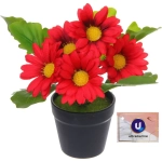 Цветочная композиция «Поцелуй лета» Хризантема красная 20см