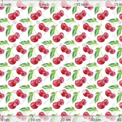 Вишня by evgenia_art_art 698 DPI