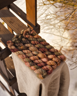 Носочная пряжа с добавлением шерсти "Сухоцвет розы" 20 г