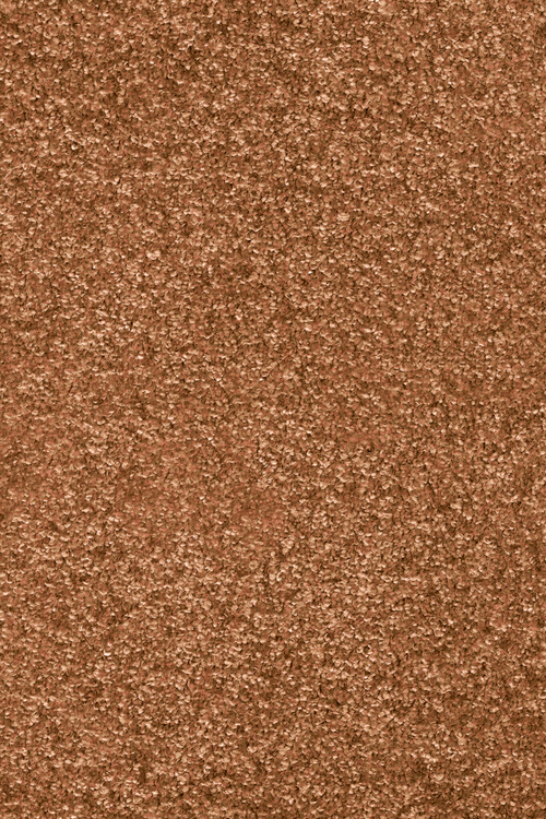 Ковровое покрытие AW Invictus Romelus 82