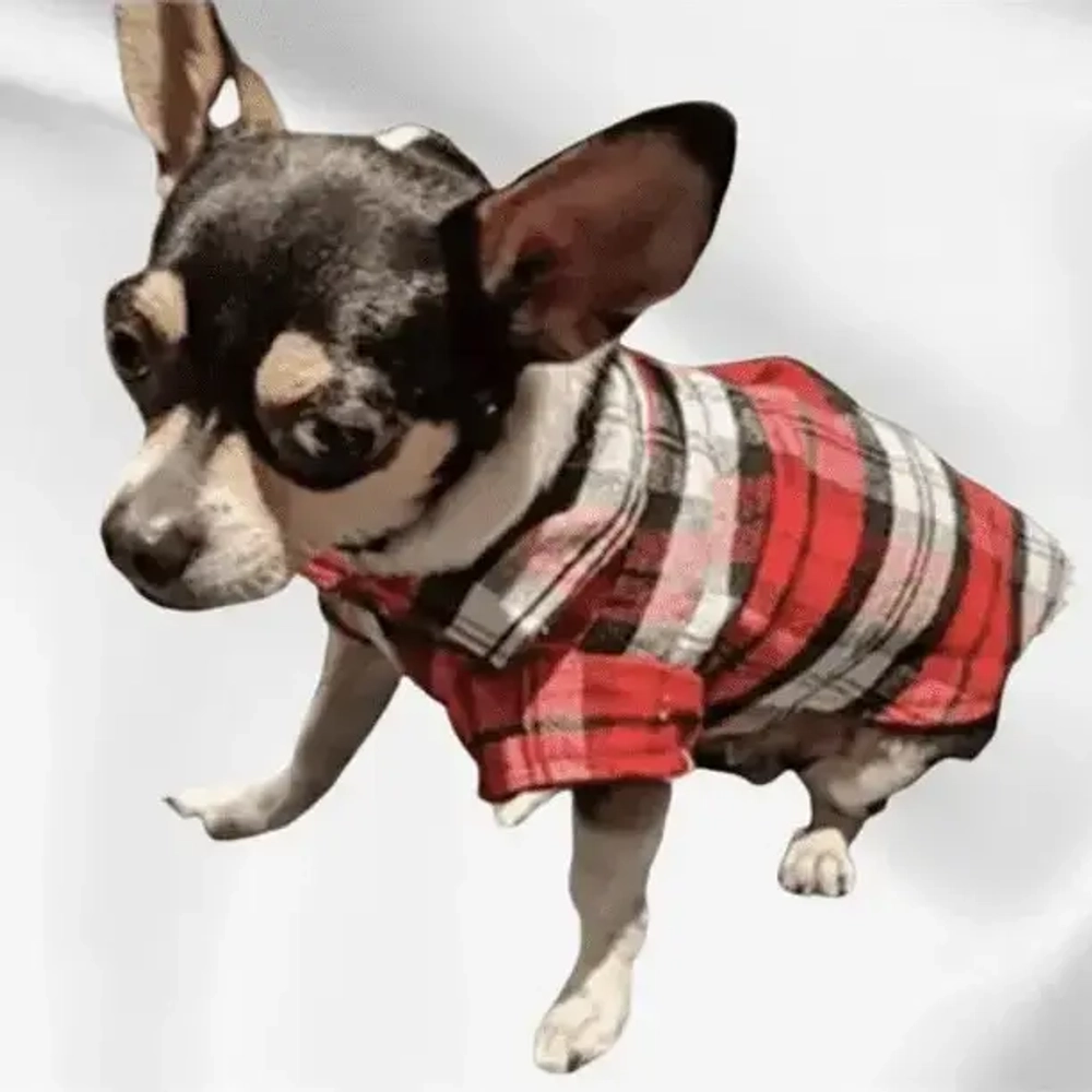 Кофта - рубашка фланелевая для мелких пород собак и кошек «BRO Style», цвет красный, р L