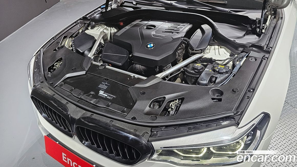 BMW 5 Series (G30) 530i M Sports Plus (12.2019)