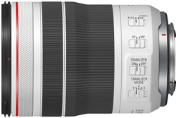 Объектив Canon RF 70-200mm f/4L IS USM, серый/черный