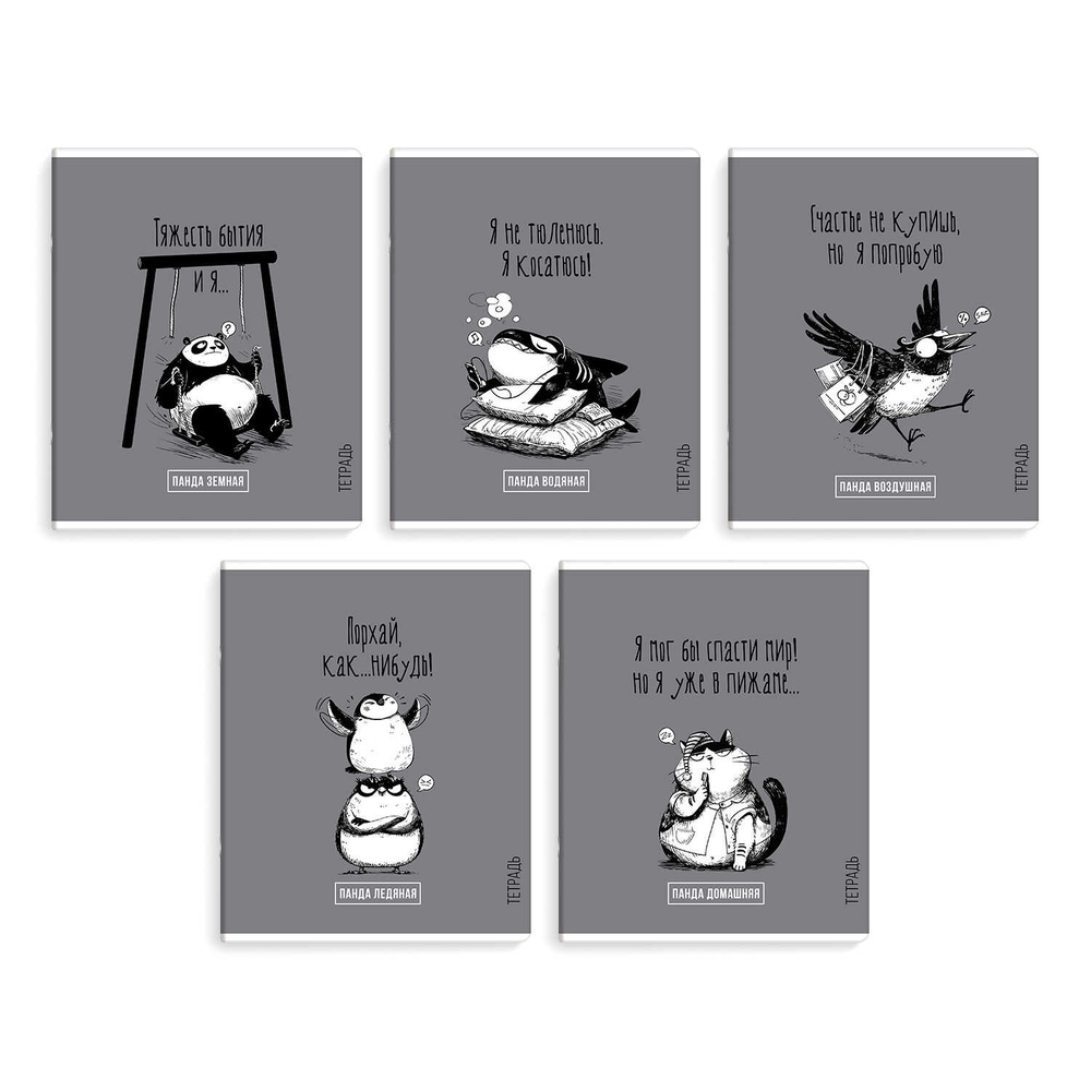 етрадь, 48 л, клетка, ПАНДА-ВАЙБ /А5